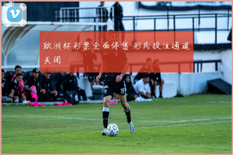 欧洲杯彩票全面停售 彩民投注通道关闭