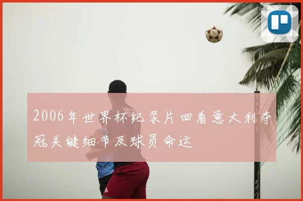 2006年世界杯纪录片回看意大利夺冠关键细节及球员命运