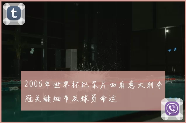 2006年世界杯纪录片回看意大利夺冠关键细节及球员命运